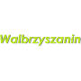 Logo Wałbrzyszanin